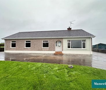 98 Ballygittle Road - Photo 3