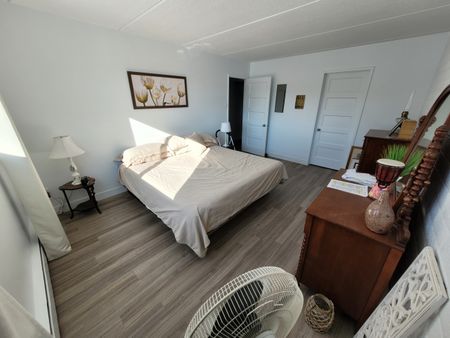 Grand 4½ rénové à louer Secteur Université et Mont-Bellevue. - Photo 5