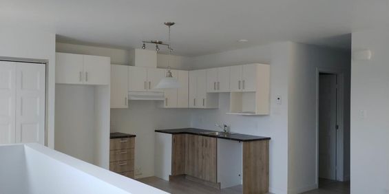 603-1497 Rue Conseil - Photo 3