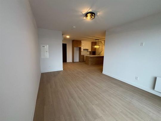 430 Boul. du Bord de l'Eau - Photo 1