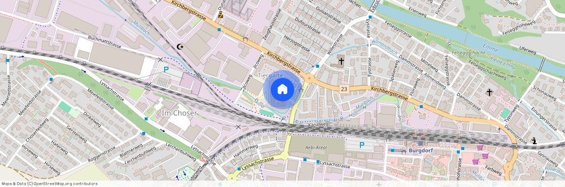 Tiergarten 41, 3400, Burgdorf