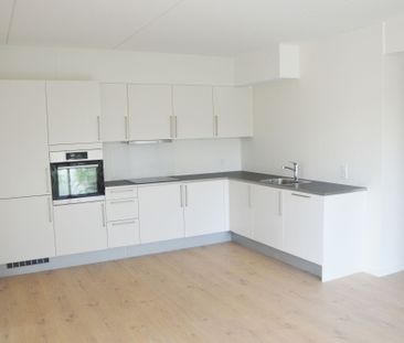 Attraktive lejeboliger i Sporbyen, med gratis parkering og stor fæl... - Photo 4