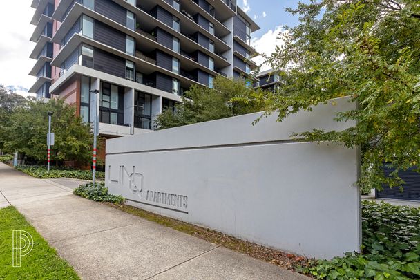 Contemporary 2 bedroom apartment with expansive outdoor living - Photo 1