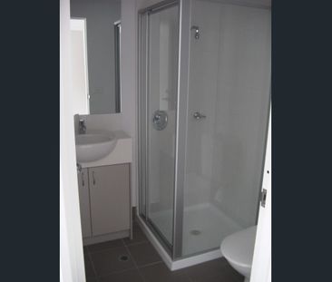 Nelson College Apartments - Studio Apartment - Photo 4