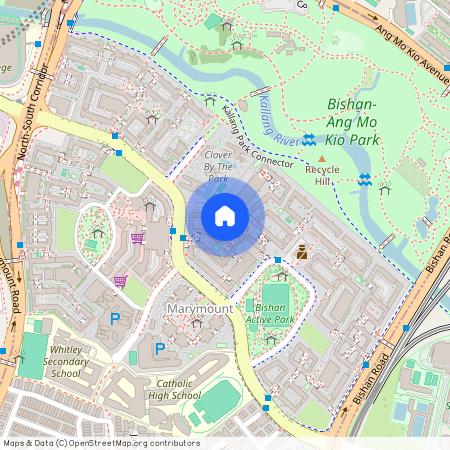 234 Bishan Street 22 (570234), Singapore