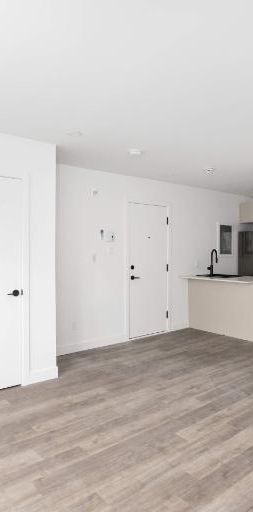 1 CH - 1 SDB - Montreal - $1,195 /mo - Photo 1