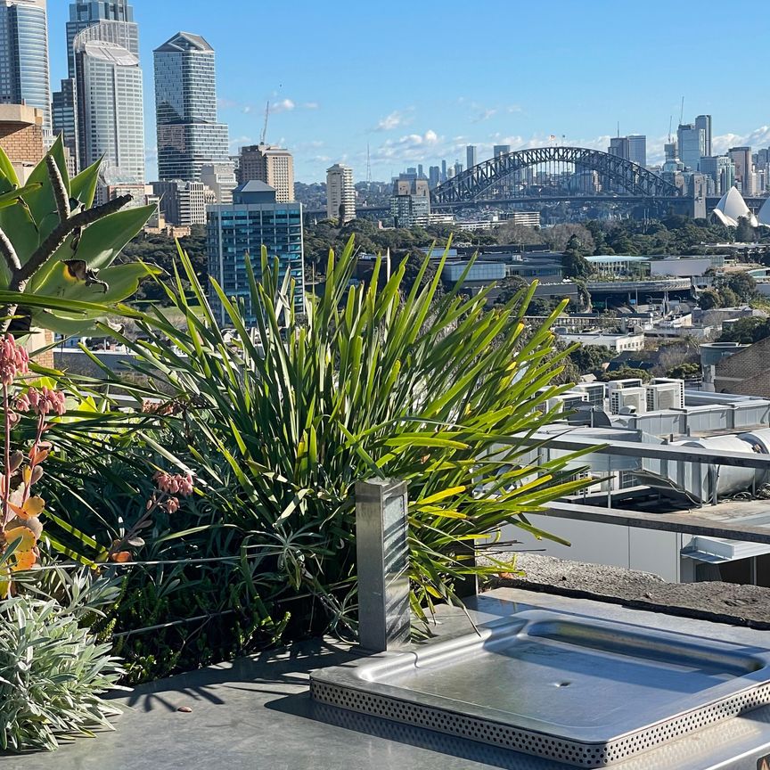 Darlinghurst - Photo 1