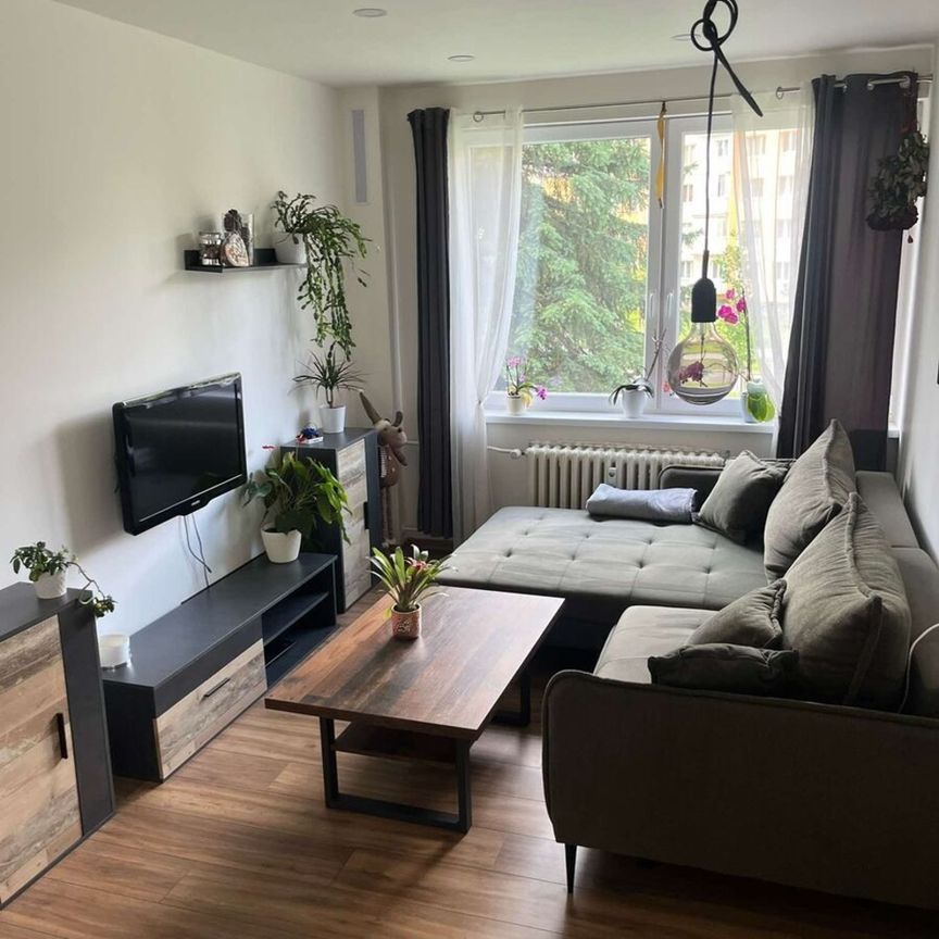 Pronájem bytu 2+kk 50 m², Seifertova, Třinec - Photo 1