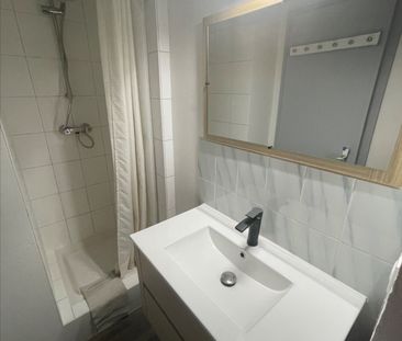 Location Appartement 1 pièce 14m² - Photo 4