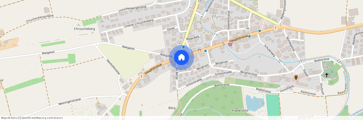 8505, Dettighofen, Hauptstrasse, 16