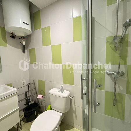 Location Appartement 1 pièce 18m² - Photo 4