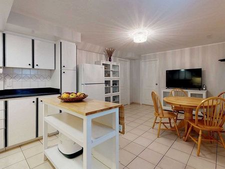 For Lease - 44 Addison Street Unit# Basement, Richmond Hill, Ontario - Photo 3