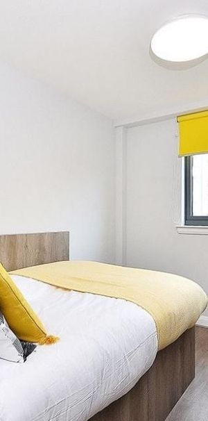 Room in a Shared Flat, Gorgie Road, EH11 - Photo 2