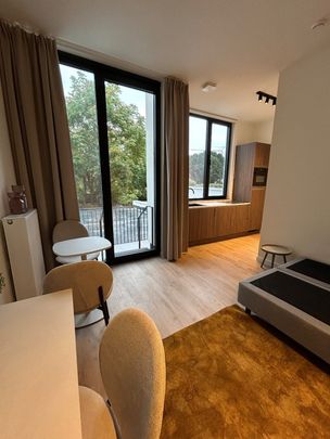 Beautiful renovated studio with terrace for rent on the Bondgenotenlaan! - Photo 1