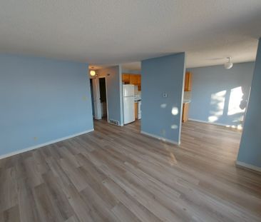 Newly Renovated, 2 Bedroom Unit in Normandeau!! - Photo 1