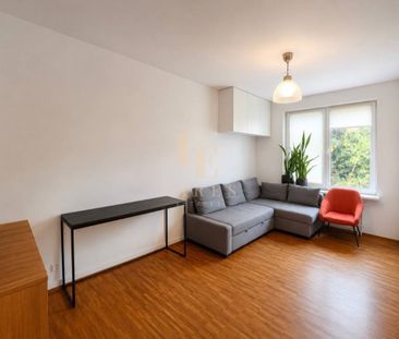 Ogródek | Strzeżone osiedle | Pet-friendly - Photo 2