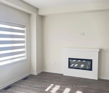 16 SEAHORSE COMMON - Photo 2