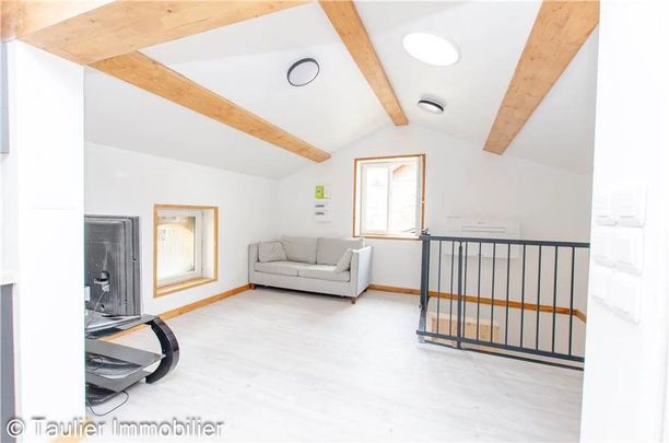 Location Appartement 1 pièce 28m² CHATTE 38160 - Photo 1