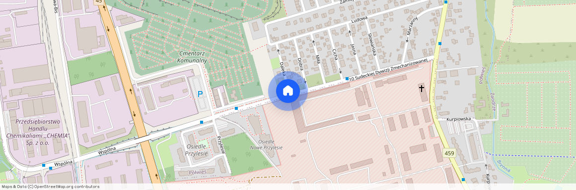 ul. 10 Sudeckiej Dywizji Zmechanizowanej, Półwieś, Opole, opolskie