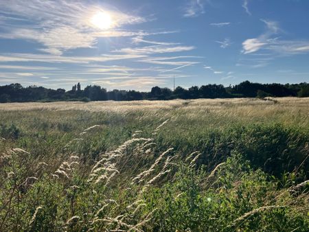 Studio Flat, Sandown Road, SE25 - Photo 2