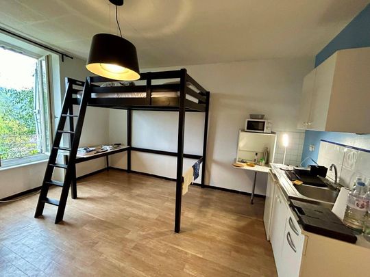 Location appartement 1 pièce 21.95 m² à Vienne (38200) - Photo 1