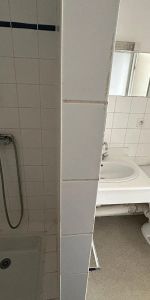 Appartement à louer 1 pièce 16m² - Photo 3