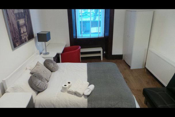 Studio Flat, Paisley Rd West, G51 - Photo 1