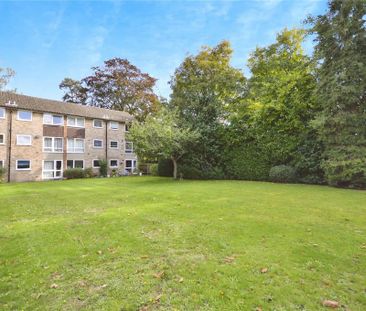 2 bedroom maisonette to rent - Photo 6