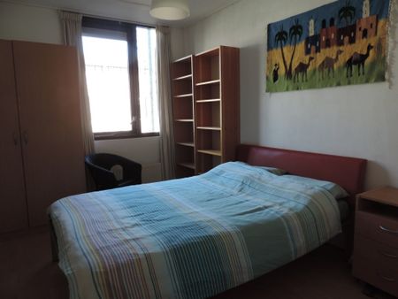 Te huur: Huis Waterlei in Apeldoorn - Photo 4