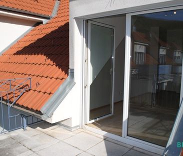 Single Paradies – Erholung im Helenental! - Photo 6