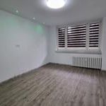 Kawalerka po remoncie, czynsz w cenie! - Zdjęcie 1