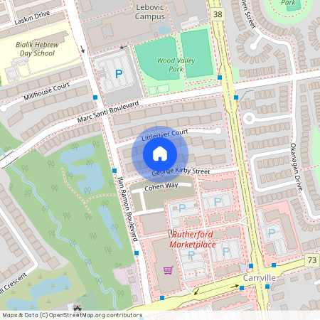 54 George Kirby Street Unit# Lower, Vaughan