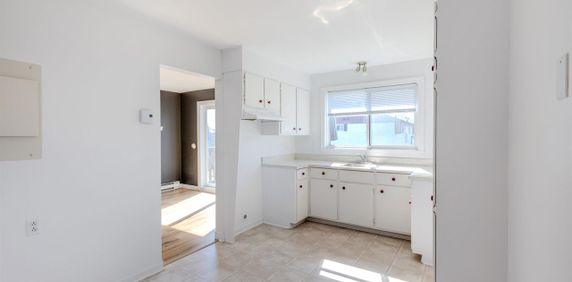 Le M Appartements Appartement 4 ½ à Louer Lévis Juillet 2026 - Photo 2