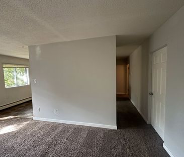 SPACIOUS 2 Bedroom APARTMENT!! GREAT LOCATION Downtown!!! - Photo 1