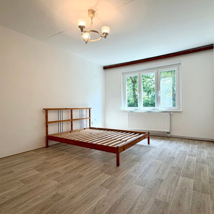 Pronájem bytu 2+1 65 m², Nučická, Praha - Fotografie 1
