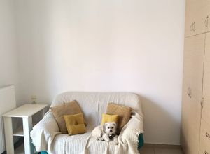 Studio/Γκαρσονιέρα για ενοικίαση - Πάτρα, - Photo 1