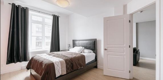 Appartement 3 ½ à louer Lévis septembre 2025 - Photo 2