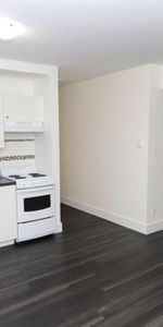 Montréal – Côte-des-Neiges – Place Lucy – Beautiful 1 bedroom apartments for Rent - Photo 3