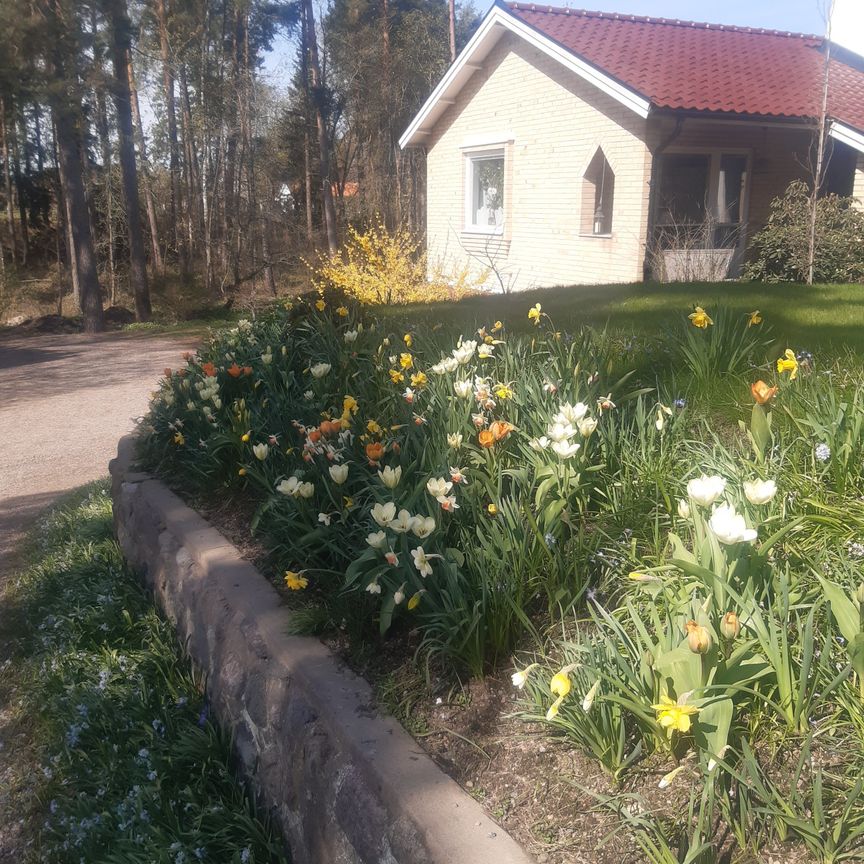 Norrgårdsvägen, Linghem - Photo 2