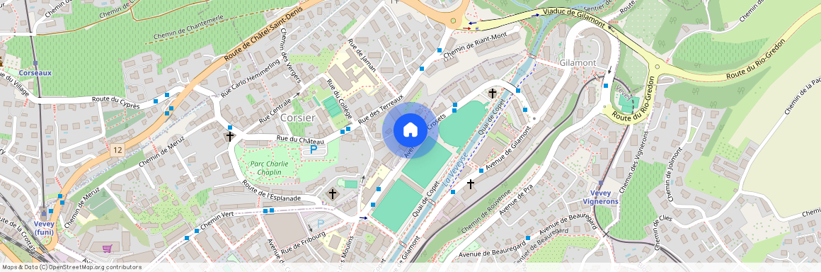 Avenue des Crosets 17, 1804 Corsier-sur-Vevey