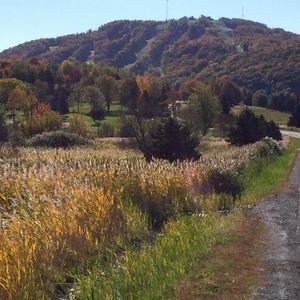 4 1/2 Bromont - Photo 3