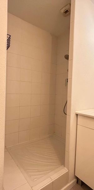 Location Appartement 1 pièce 19m² TOURS 37000 - Photo 1