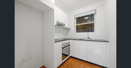 Renovated Studio wtih Carspace - Photo 4