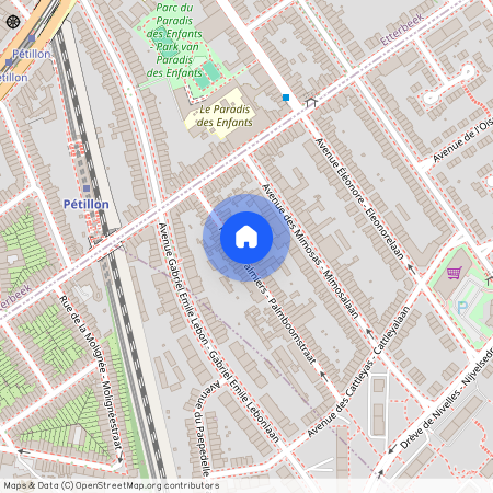 Rue des Palmiers - Palmboomstraat 29, 1150 Woluwe-Saint-Pierre - Sint-Pieters-Woluwe, Belgium