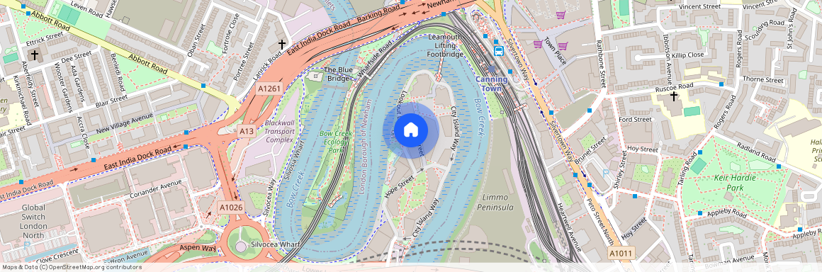 Lyell Street, London E14