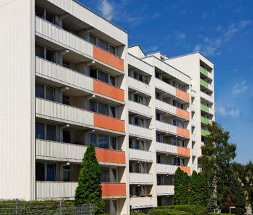 3-Zimmer-Wohnung in Frechen Frechen - Foto 1