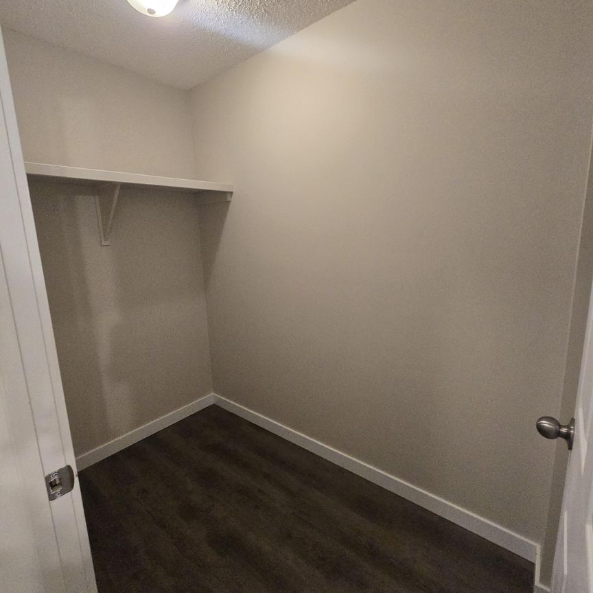 Modern 1 Bedroom Apartment Downtown Available Now - Photo 1