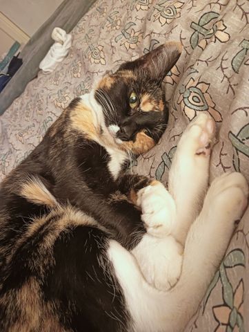 Elizabeth Park - Photo 4