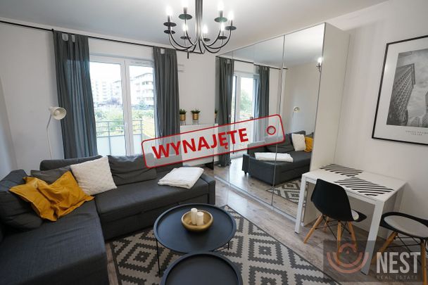 Ornament: kawalerka - Zdjęcie 1