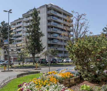 ATTIQUE EN DUPLEX AVEC TERRASSES ET JOLIE VUE SUR LE LAC - Photo 1